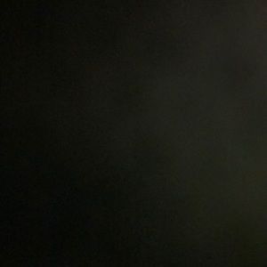 Meet your Posher, Ava